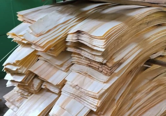 انواع طرح‌ها