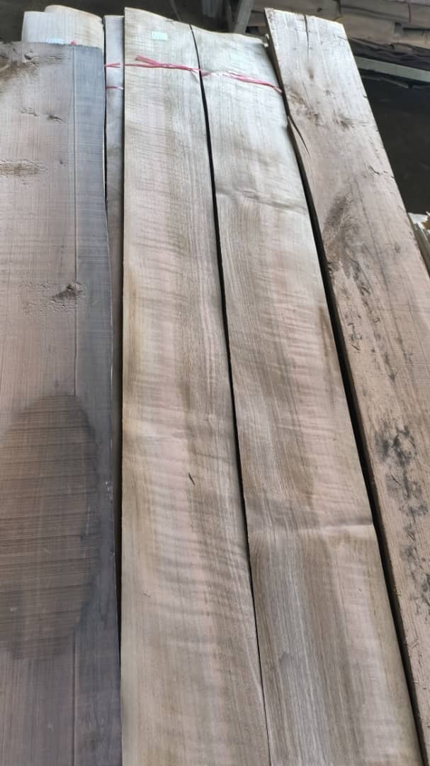 انواع خدمات